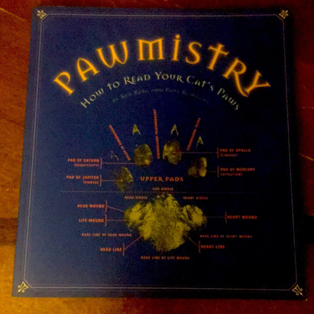 NWOT Pawmistry Kitty Book
